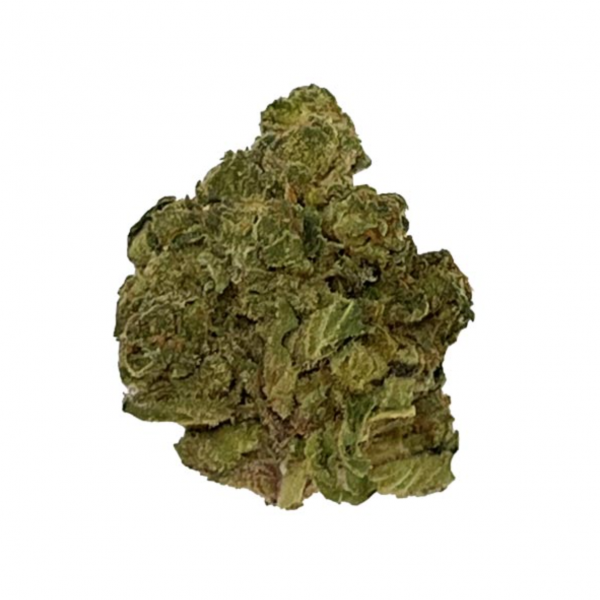 BLOW OUT SALE Apple Fritter Hybrid