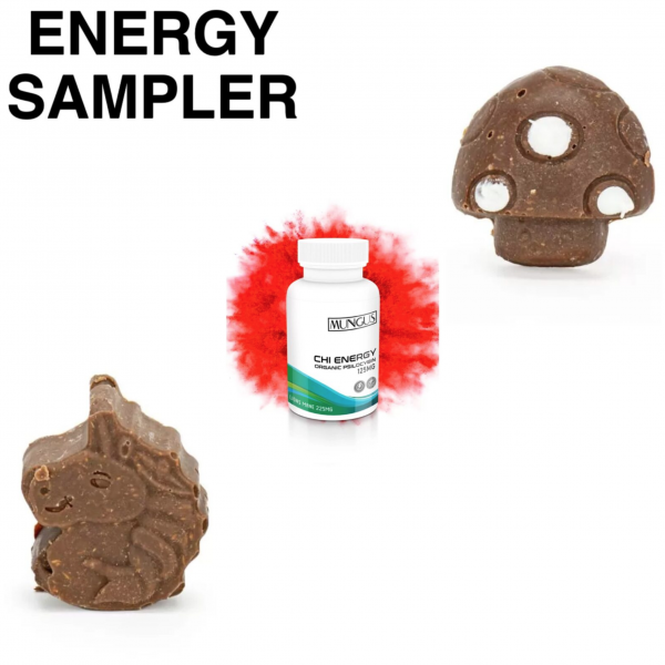 Energy Sampler