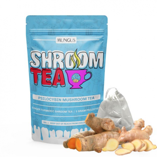 Ginger Turmeric Shroom Tea | 1 GRAM