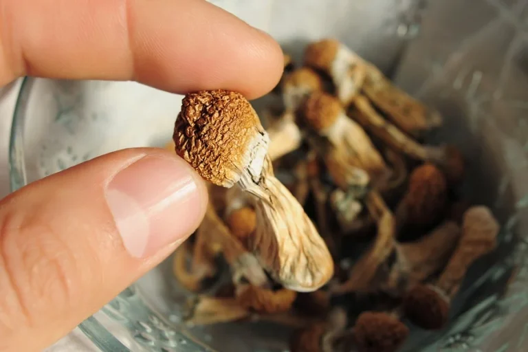 How much do shrooms cost?