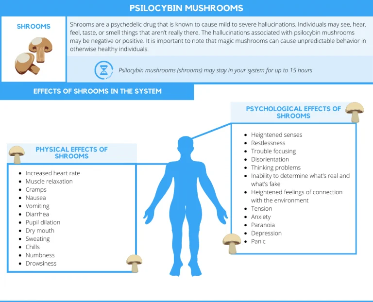 How long do shrooms stay in your system?