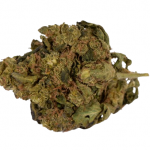 Cheap Weed Best Friend OG Sativa 28G $69