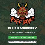 Puff Boyz 400mg CBD Blue Raspberry Gummies